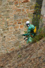 mt_st_michel_desherbage_4_juillet_2009_388.jpg, , , aoû 2009