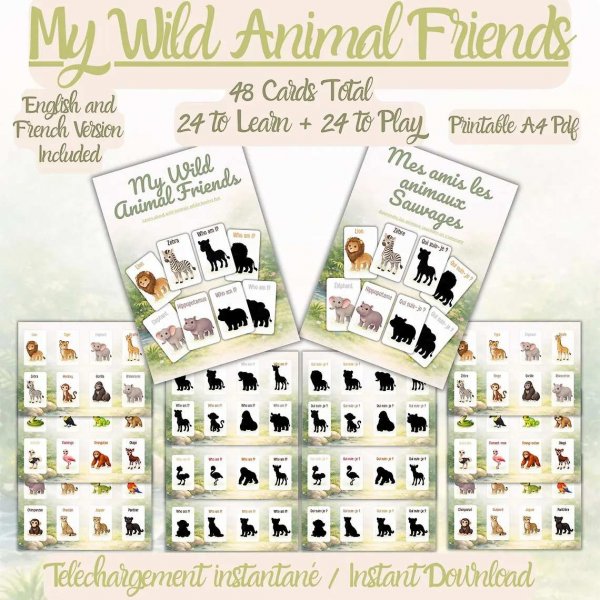 192 cartes  pour apprendre à reconnaître les animaux.jpg détail.jpg, mai 2026