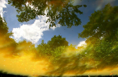 reflets_dathee_juillet_2009_313_blog.jpg, , , aoû 2009